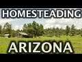 Homesteading in Arizona on Raw Land