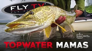 FLY TV  Topwater Mamas (Pike Fly Fishing in the Mountains)