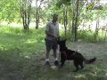 Dog training | Nine preparatory basic exercises on obedience Dog training | Nine preparatory basic exercises on obedience