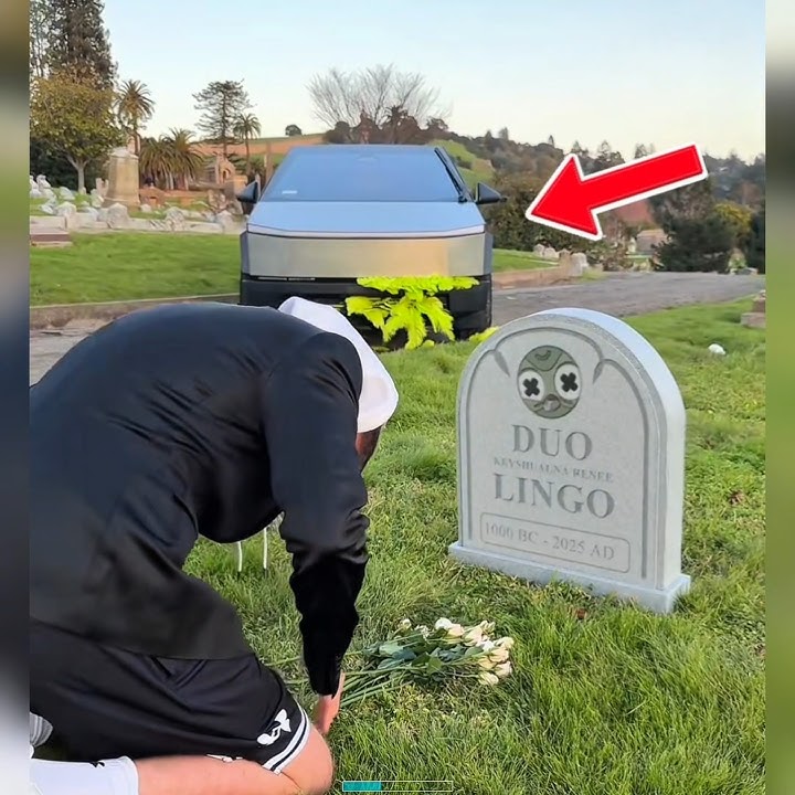 Duo is back! mrbeast didn't kill duolingo 😃 #shorts