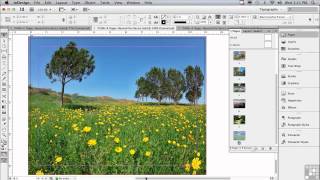 Adobe InDesign CS6 Tutorials | Intro to Pages in InDesign | InfiniteSkills Wealth