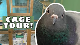 KEDLE’S NEW CAGE! | Pigeon Cage Tour and Setup!
