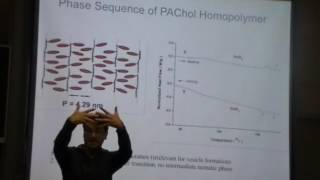 Faceted Structures in Liquid Crystalline Vesicles - Mark Bowick