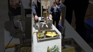 Pineapple Peeler with skin separator - PAN 006 - Pelamatic SL