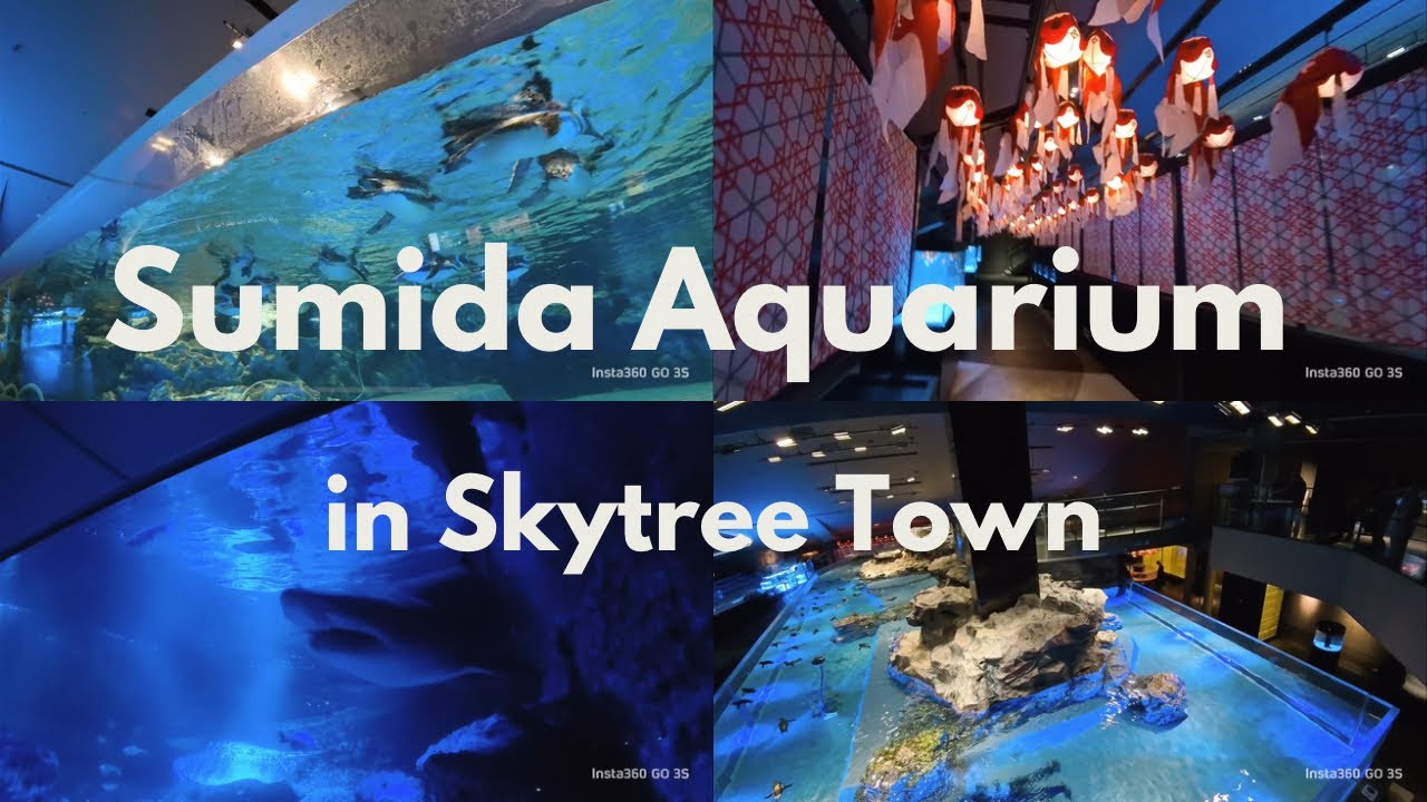 I went to the Sumida Aquarium in Tokyo Skytree Town,Japan