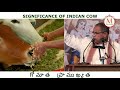 GOMATA VISHISHTATA | SIGNIFICANCE OF INDIAN COW | WHAT TO FEED GOMATA | CHAGANTI KOTESHWARA RAO Mp3 Song