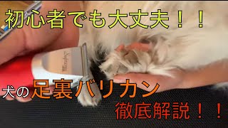 犬の足裏バリカン