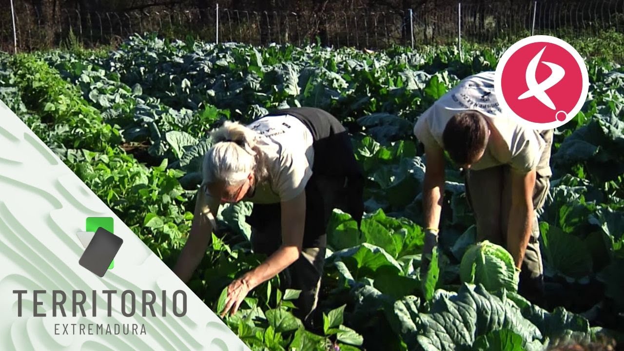 Huerto colaborativos en Fresnedoso de Ibor | Territorio Extremadura