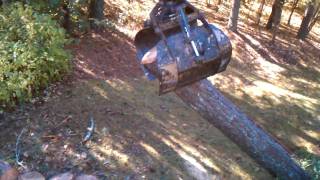 SWS Waste Services Cleaning a Tree Debris in Roswell Ga