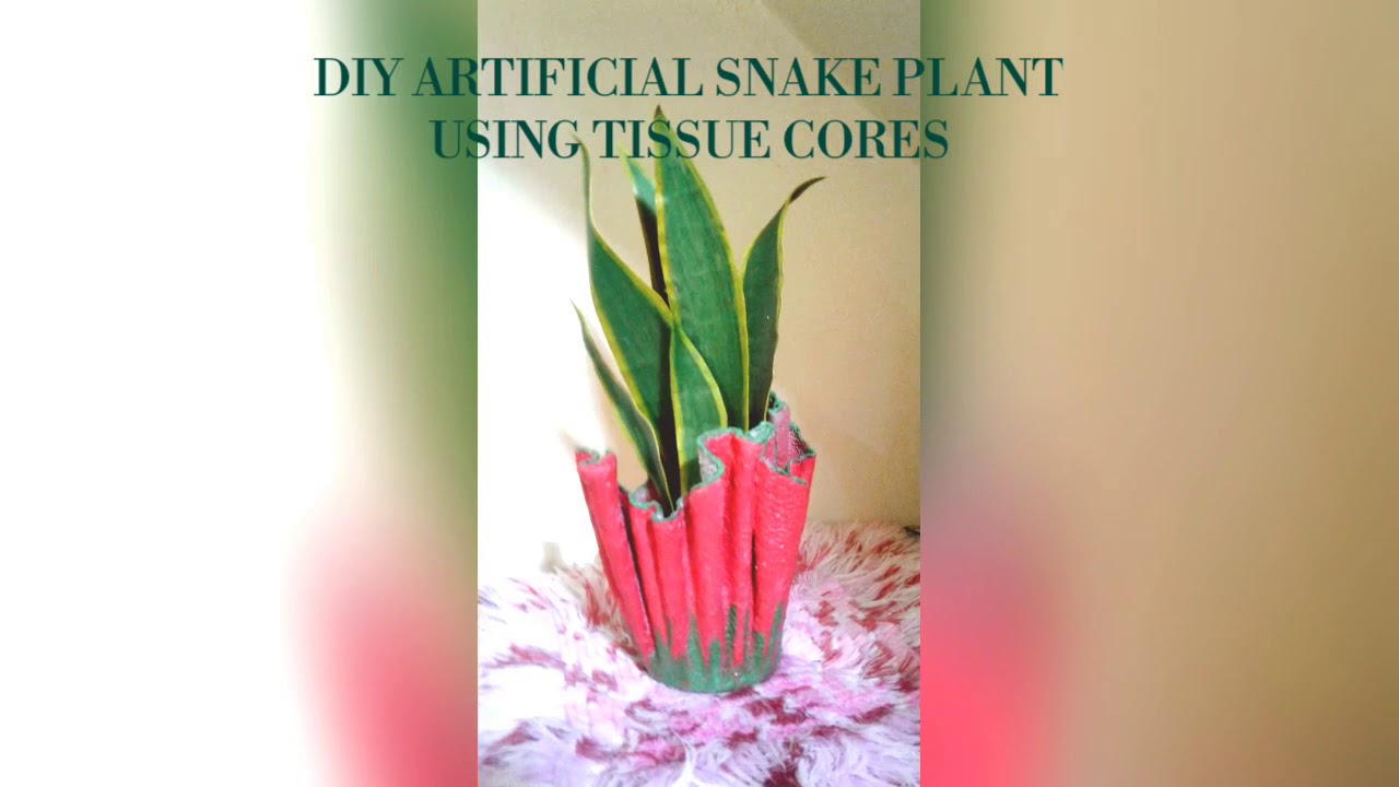 DIY ARTIFICIAL SNAKE PLANT How to make artificial snake plant YouTube