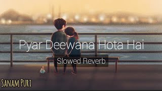 Pyar Deewana Hota Hai (Slowed Reverb) - Sanam Puri