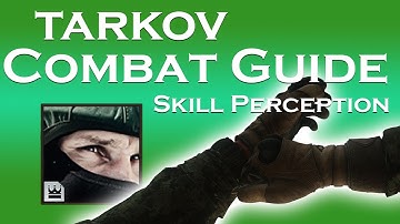Escape From Tarkov BASICS TO COMBAT Guide - Skill: Perception