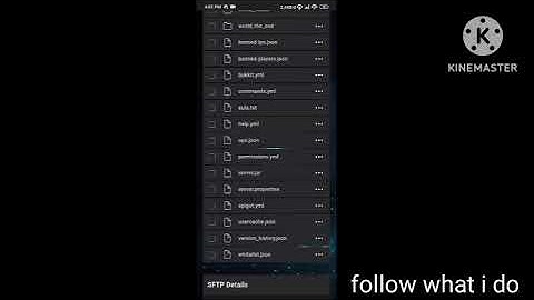 how to use whitelist in Minecraft hosting