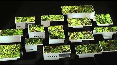 10   Peter Zumthor   The Thermae of Stone