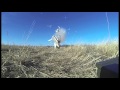 Tannerite vs. Refrigerator