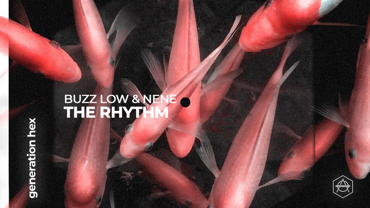 Watch Buzz Low & NENE - The Rhythm (Official Audio) on YouTube Watch Buzz Low & NENE - The Rhythm (Official Audio) on YouTube