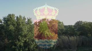 Plasencia De Jalón