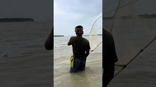 Unique Fish Catching Skills From Padma River #fishing #netfishing #riverfishing