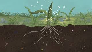Water in healthy landscapes 7: Regenerating Landscapes with Natural Infrastructure