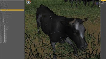 Modular Field Environment Creation