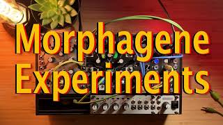 Sample Manipulation in Raga Yaman with Modular Synths | Morphagene Experiments