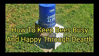 How To Keep Bees Busy And Happy Through Dearth