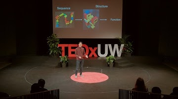 Learning from uncertainty by embracing it | Samuel Wong | TEDxUW