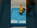 🍃Beautifull Chickens, Duck and Swan #animaltoys #satisfying