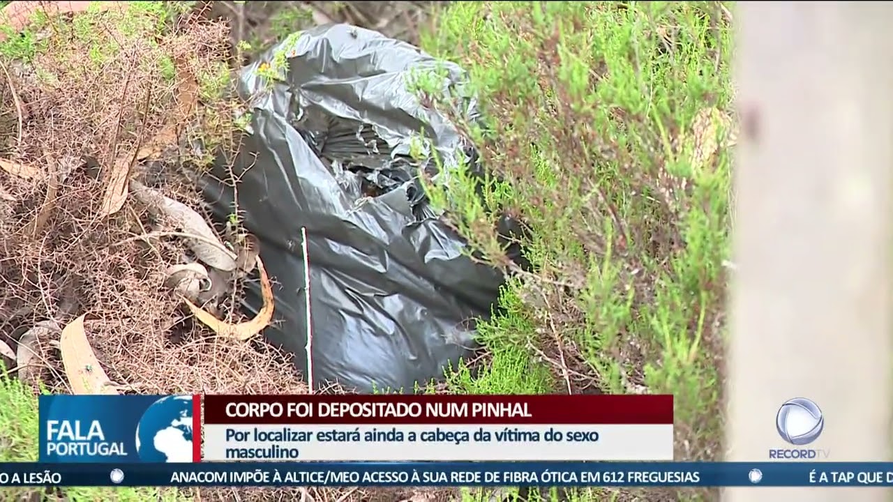 Cadáver desmembrado no Cadaval