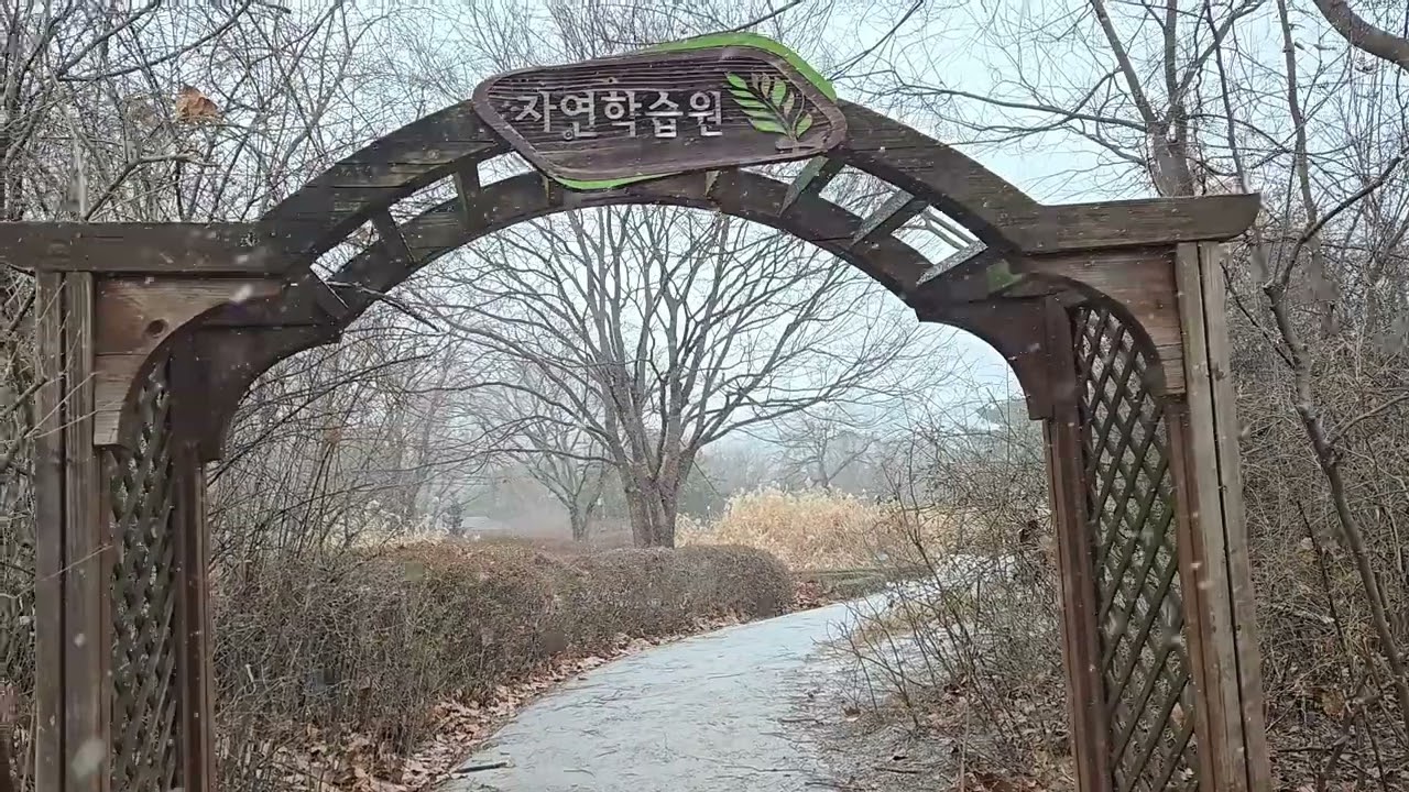 눈내리는 일산호수공원 