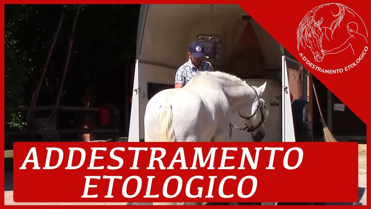 La storia di Nacar e la sua paura di salire sul trailer