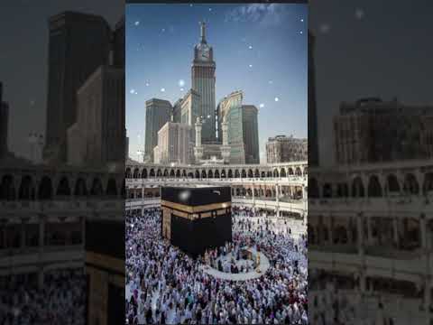 Moka Kabagor Like Sear Comant Ailh