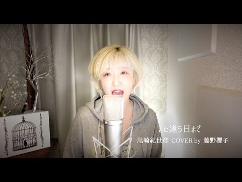 また逢う日まで/尾崎紀世彦 COVER by 藤野櫻子