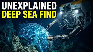This Deep Sea Discovery Has Experts Completely Baffled