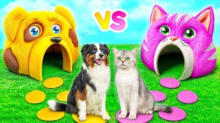 видео: Строим Домики для Животных | Сумасшедший Челлендж от Multi DO Smile картинка: Строим Домики для Животных | Сумасшедший Челлендж от Multi DO Smile