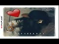 اغاني كردي 2020أجمل اغنية كردية هوار دلي دلي لي حزينه للعشاق حالات واتس Servet Tunç X İvan Aslan اغاني كردي 2020أجمل اغنية كردية هوار دلي دلي لي حزينه للعشاق حالات واتس Servet Tunç X İvan Aslan