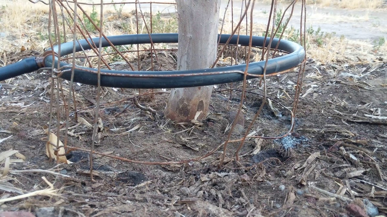 DIY drip ring prototype v.3 YouTube