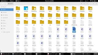 Operating System Lab Exercises ex2