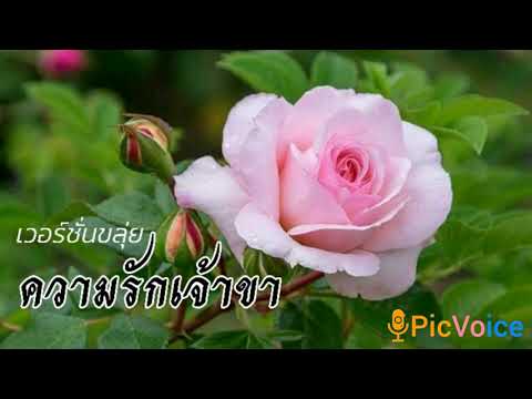 ความรักเจ้าขา.. (เวอร์ชั่นขลุ่ย) โดย มุทิตา