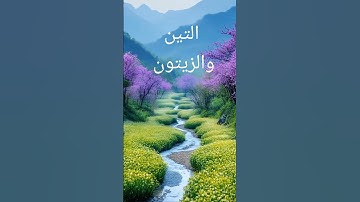 قرآن كريم #اكسبلور #دويتو #المصحف #تيك_توك #صباح_الخير #لايك #ترند