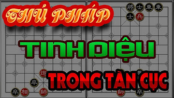 Học chơi Cờ tàn - Cờ thế: Các thủ pháp tinh diệu trong tàn cục