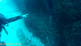 Lloret De Mar , Spain , Scuba Diving With Dolphin Diving . May 2016