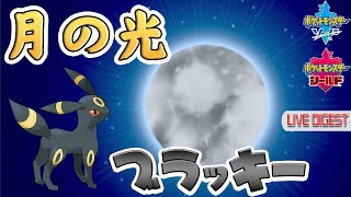 解釈一致 つきのひかり ブラッキーも強いぞ ポケモン剣盾 Youtube