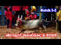 விராலூர் ஜல்லிக்கட்டு 2023 Batch 3-2 | VIRALUR JALLIKKATTU | Thangam Jallikkattu tv