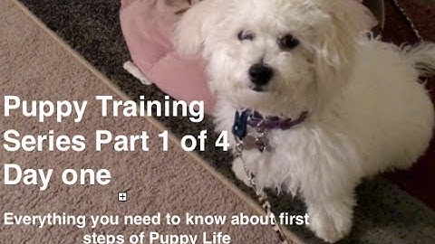 Puppy Training Series Part 1 of 4:  Best Crate Training Video on first day with Puppy
