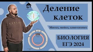 ДЕЛЕНИЕ КЛЕТОК. Митоз, Мейоз, Гаметогенез для ЕГЭ 2024 |ЕГЭ БИОЛОГИЯ|Freedom|