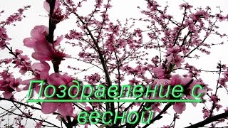 Поздравление с весной.(Поздравление с весной.Поздравляю с наступившей весной!!! Ура! ▻▻▻ //////////////////////////////////////////////////////////////////////////..., 2017-02-28T20:17:47.000Z)