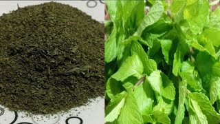 पोदीना का पाउडर बनाने का जबरदस्त आसान तरीका|How to make mint powder at home