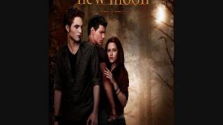 15. Alexandre Desplat - New Moon (The Meadow) - New Moon OST