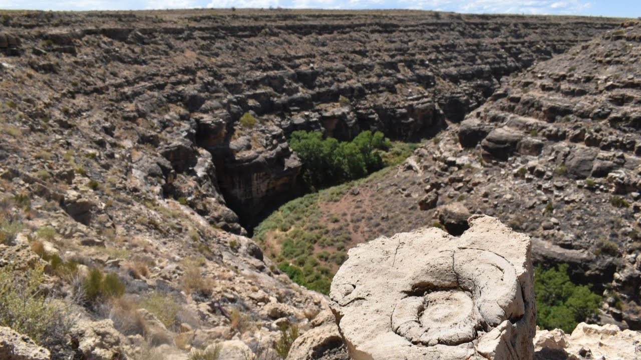 (#163) Love-Letters To Da Permian w/ Limestone Ammonites & Juglans Major